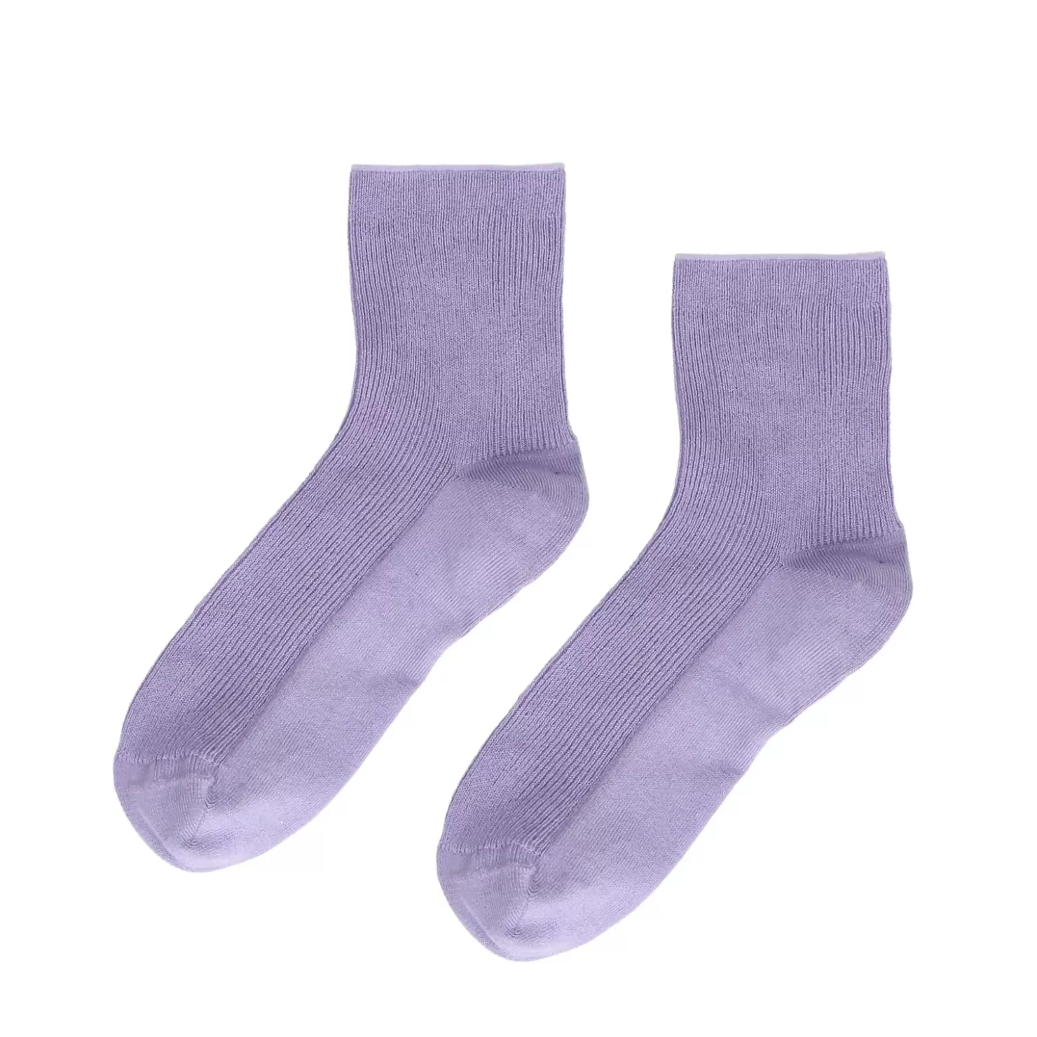 Clearance Socks With Cotele Pattern - Lilac Women Tights And Socks